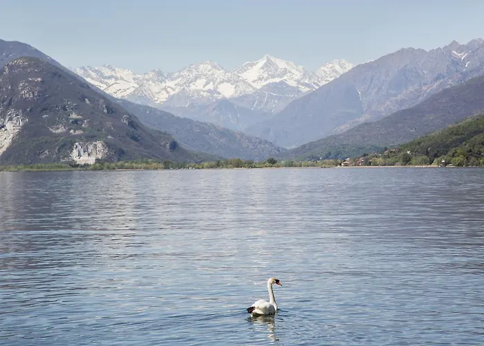 ホテル Lvg Collection - Belvedere San Gottardo 4*